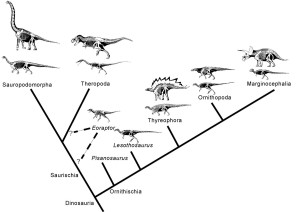 Cladograma de Dinosauria.