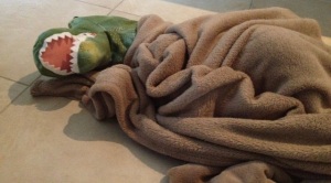 dinosaur-sleeping-blanket